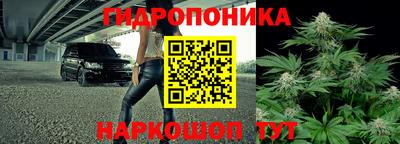 прущая мука Шахты