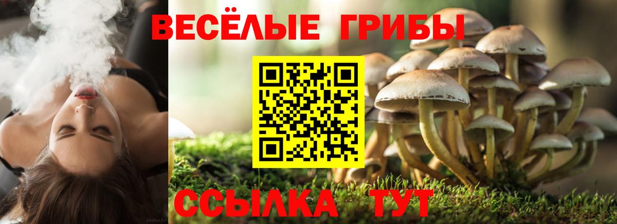 Псилоцибиновые грибы мухоморы  Псилоцибиновые грибы Psilocybe  Котельники  купить закладку  Вход с VPN 